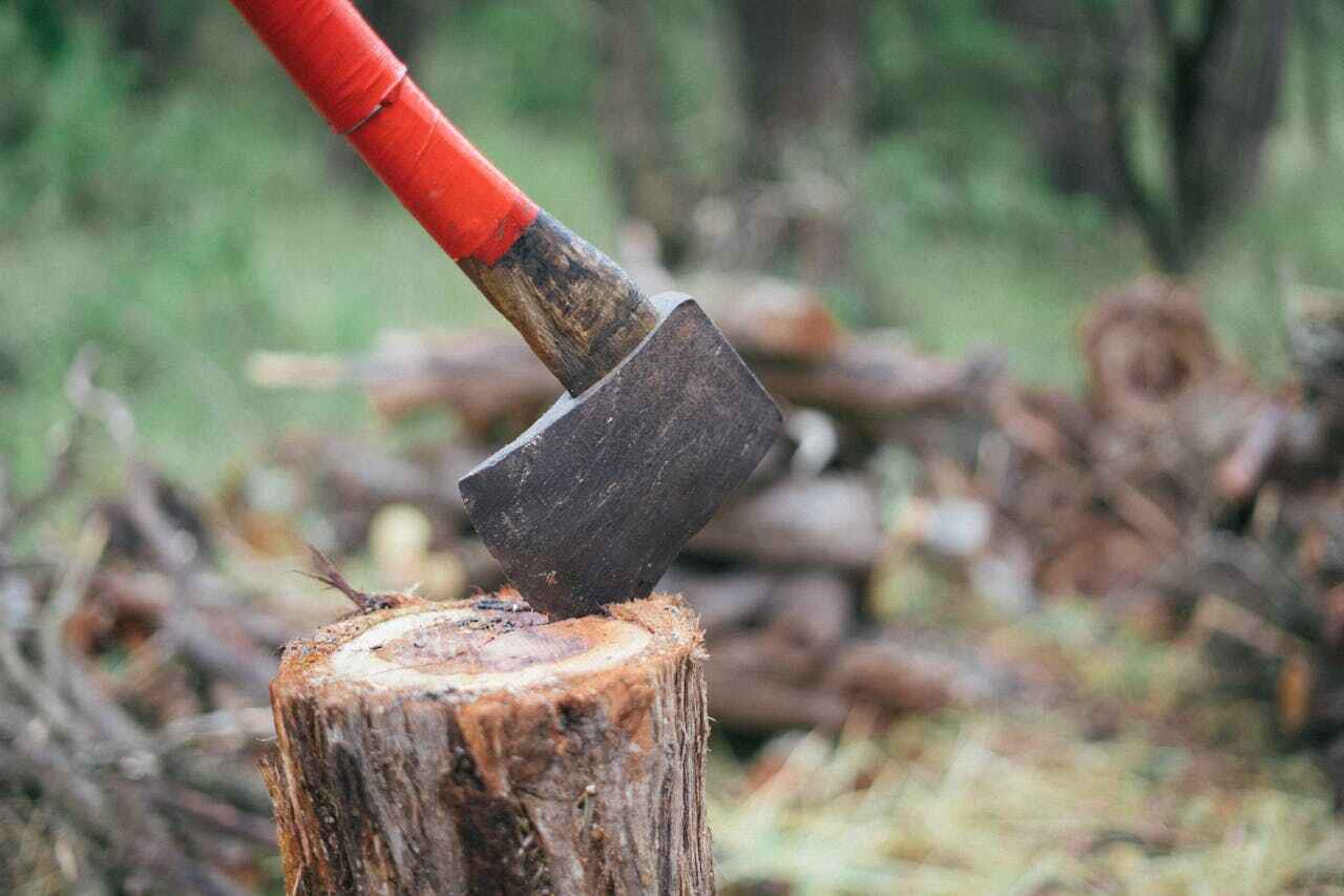 Poplar Cotton Center, CA Tree Service Company